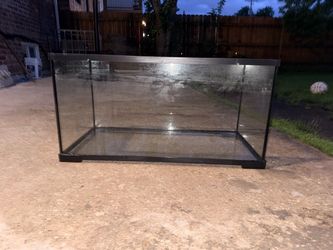 40 gallon tank