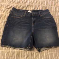 Time And Tru Ladies Shorts 