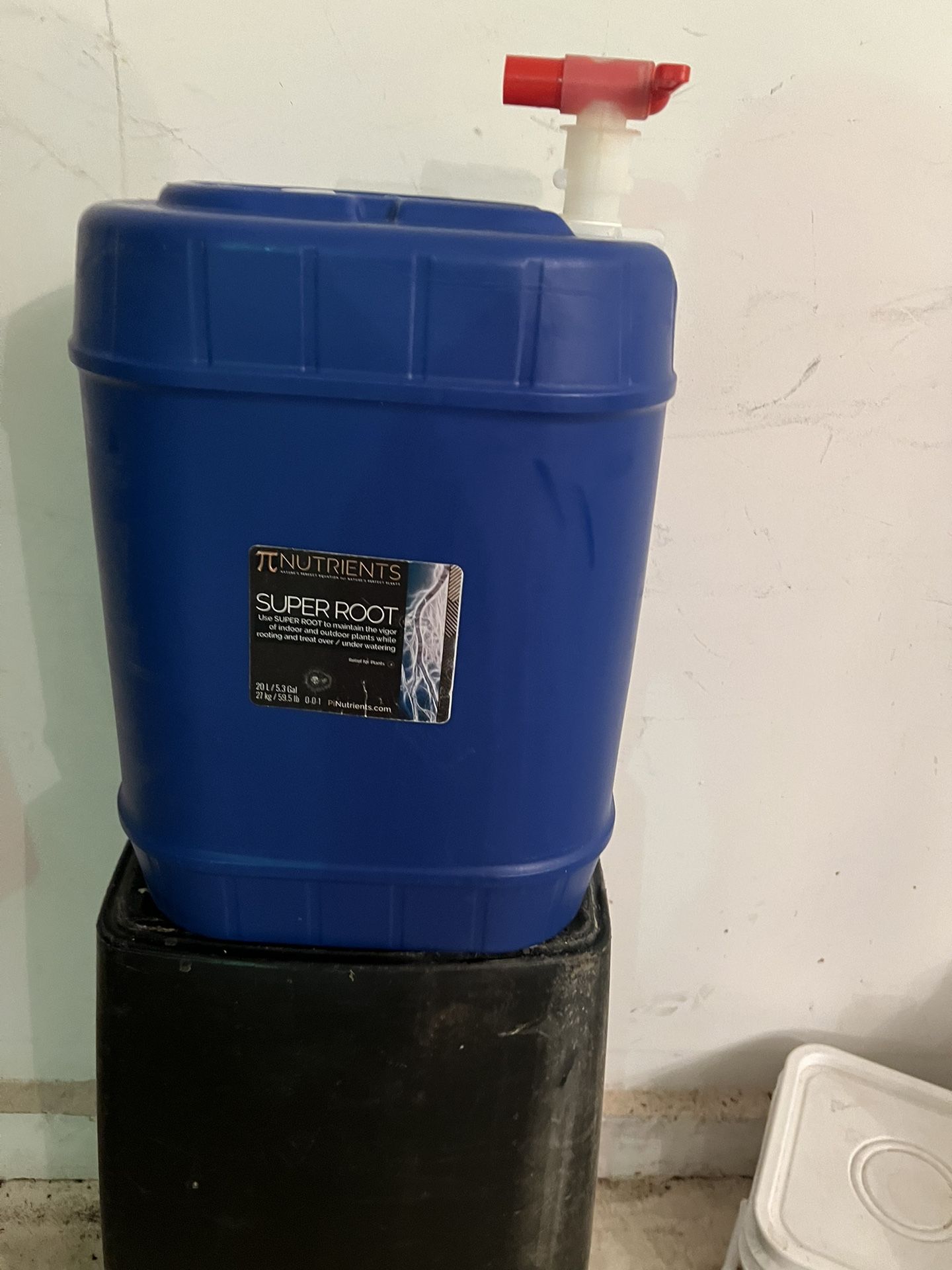 Super Root By Pi Nutrients