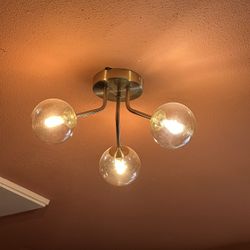 Ceiling Light With LED Bulbs 💡