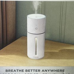 Portable Humidifier (USB Rechargeable)