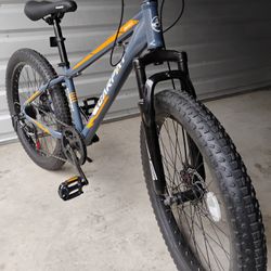 Bike New 24x3 Inch Wheels For Adults Or Teens Ready To Ride Fully Assembled