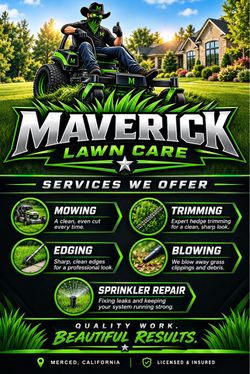 Lawn Grass