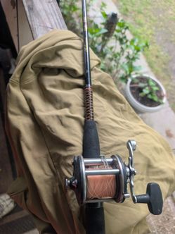 Rod and reel