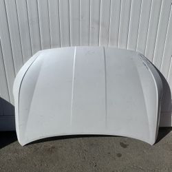 2019 2020 Hyundai Elantra Hood OEM