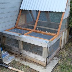 Chicken Coop