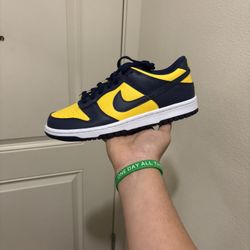 Nike Dunk Low Michigan 