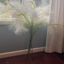Decorative House Flowers