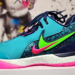 Size Us 10M / Nike Zoom LeBron NXXT Gen AMPD South Beach