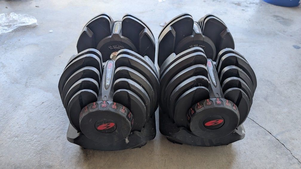 Bowflex Weights (Two, $50 Each)