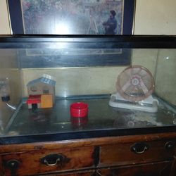 40 breeder tank and screen top