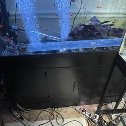 55 Gallon Tank