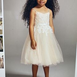 Flower Girl Dress  Size 6 