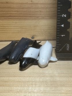 A Pod of Detailed SeaWorld Whales 4 pcs #scrappy