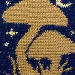 Handmade Crochet Mushroom Tapestry