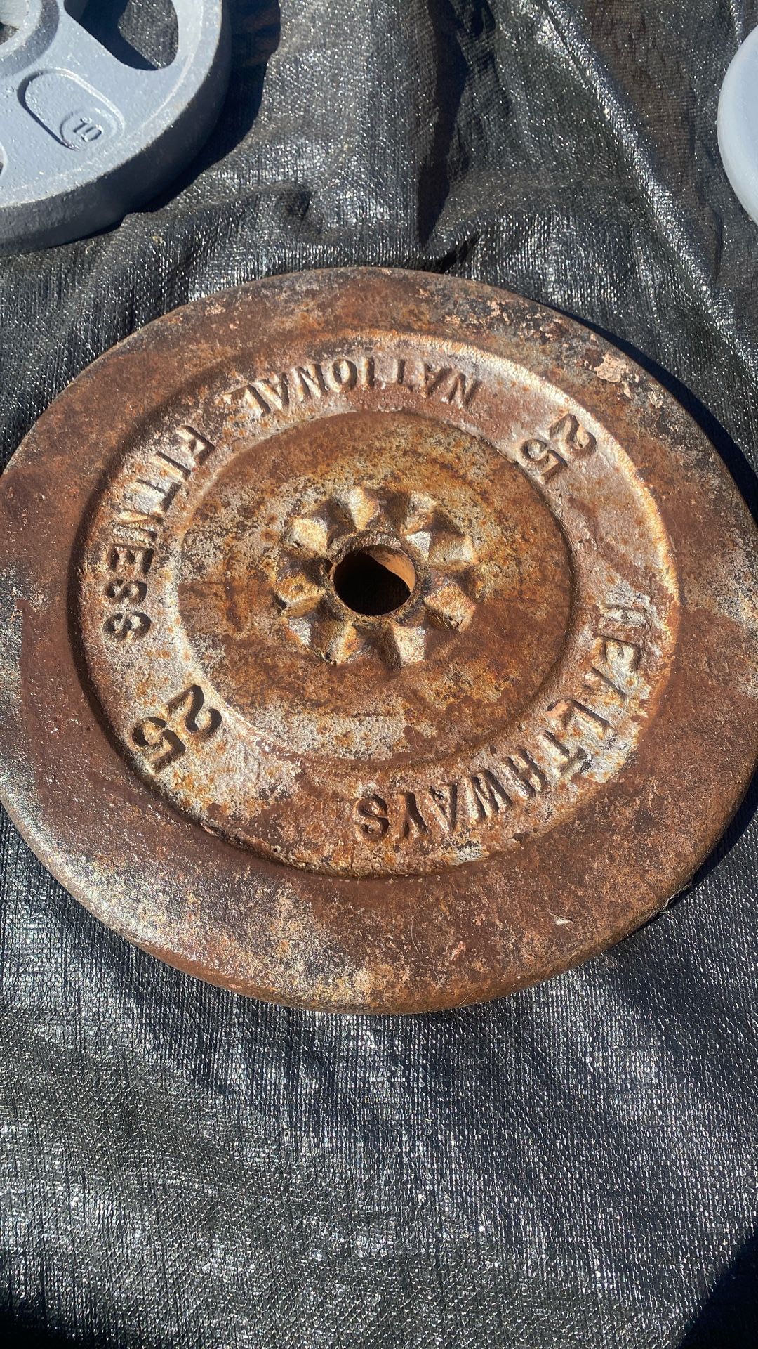 One 25 Lbs Plate