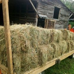 Fresh Hay!