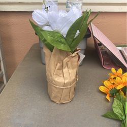 Potted Flower (Fake Flowers)