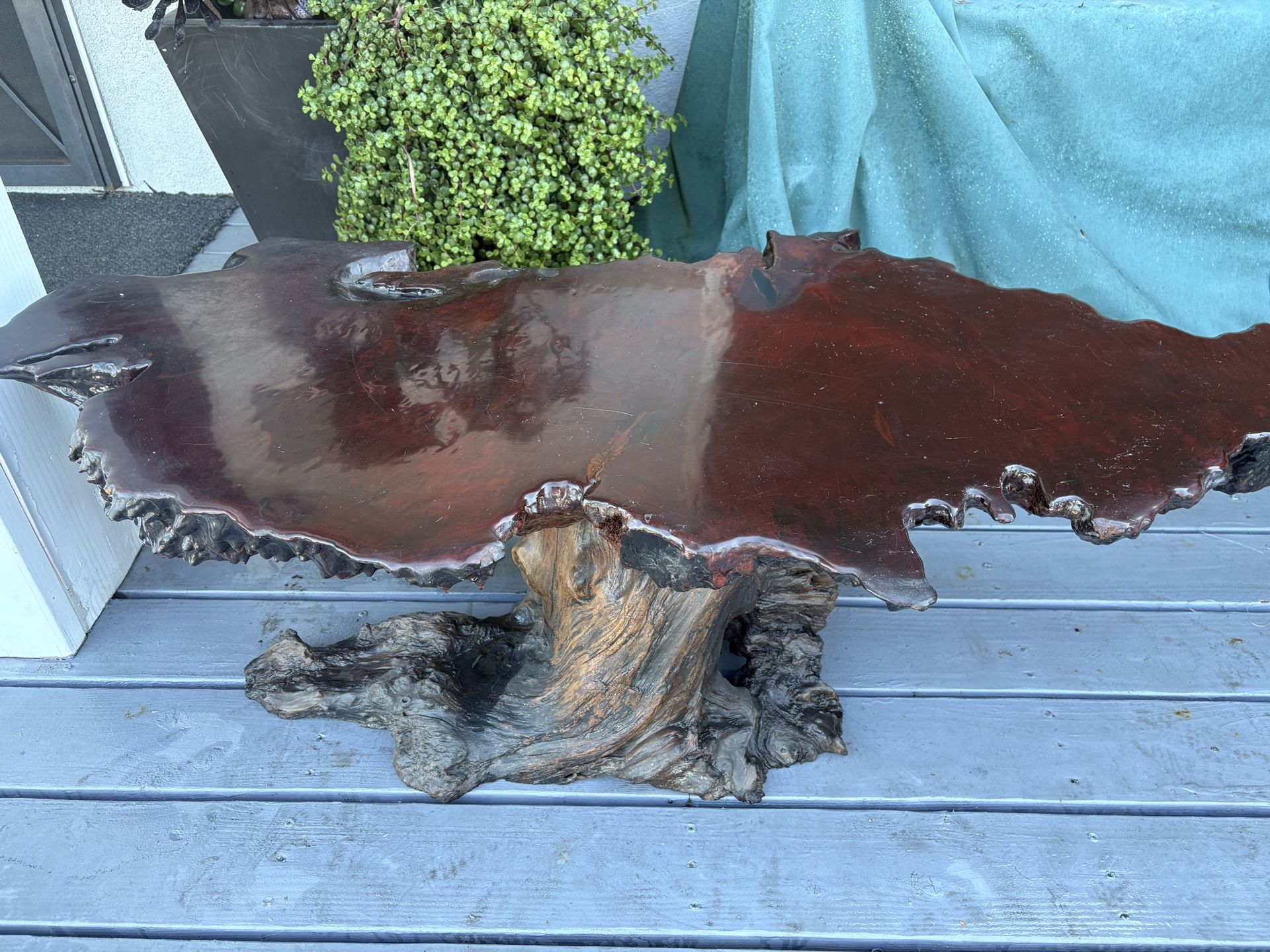 🌿💙🌸REDWOOD BURL COFFEE OR END TABLE💙💓🌿