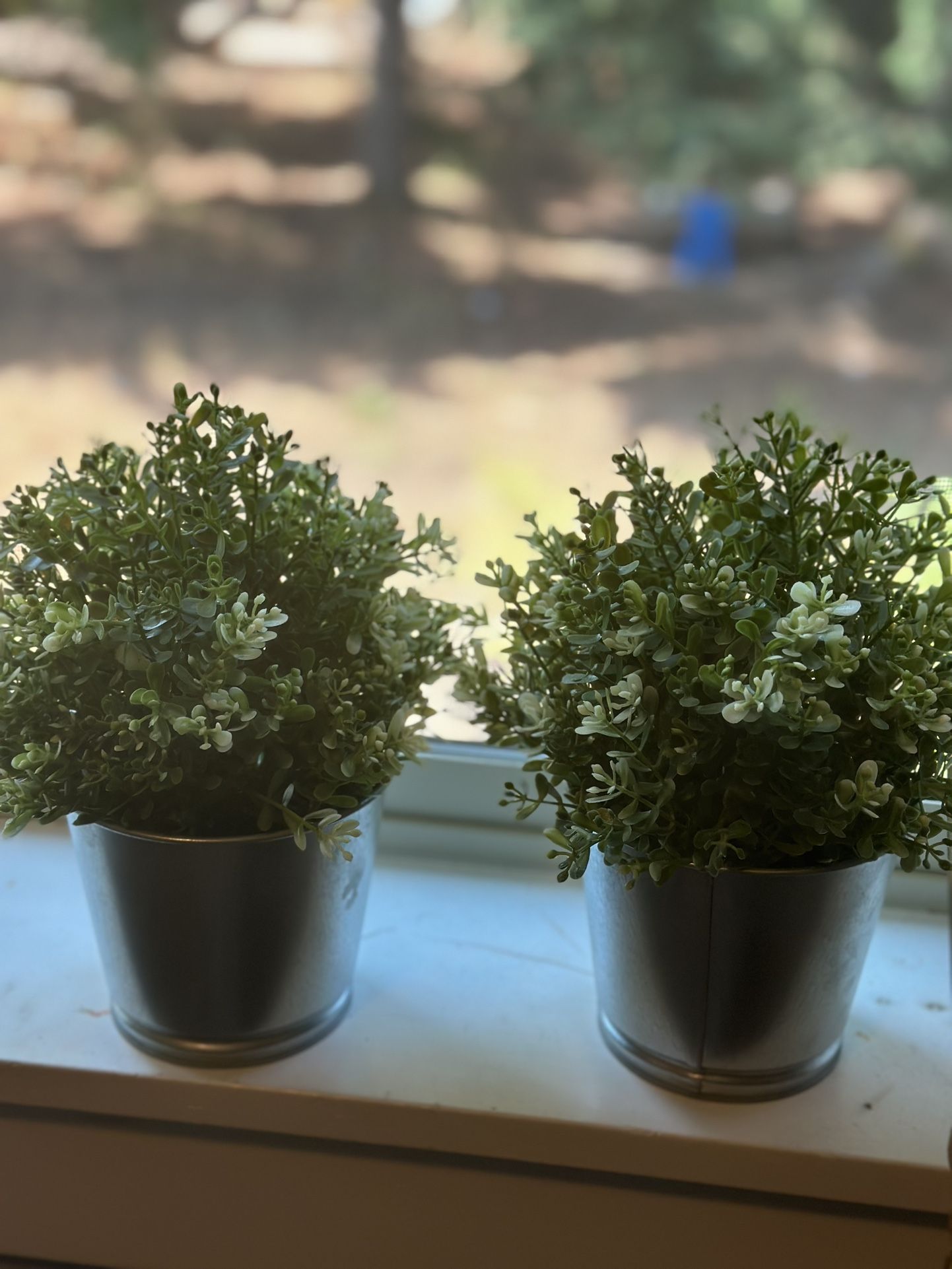 Fake Plants