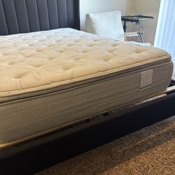 Full Size Mattress