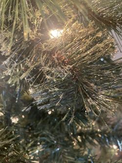 Christmas Tree 7 Ft