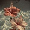 Mary Roman