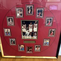 1995 Chicago Bulls 72-10 Championship Season Custom Framed 34”x34” Tribute. 