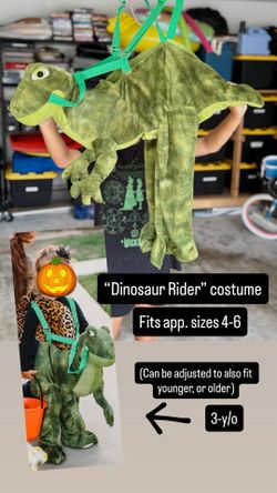 “Dinosaur Rider” costume / pretend play