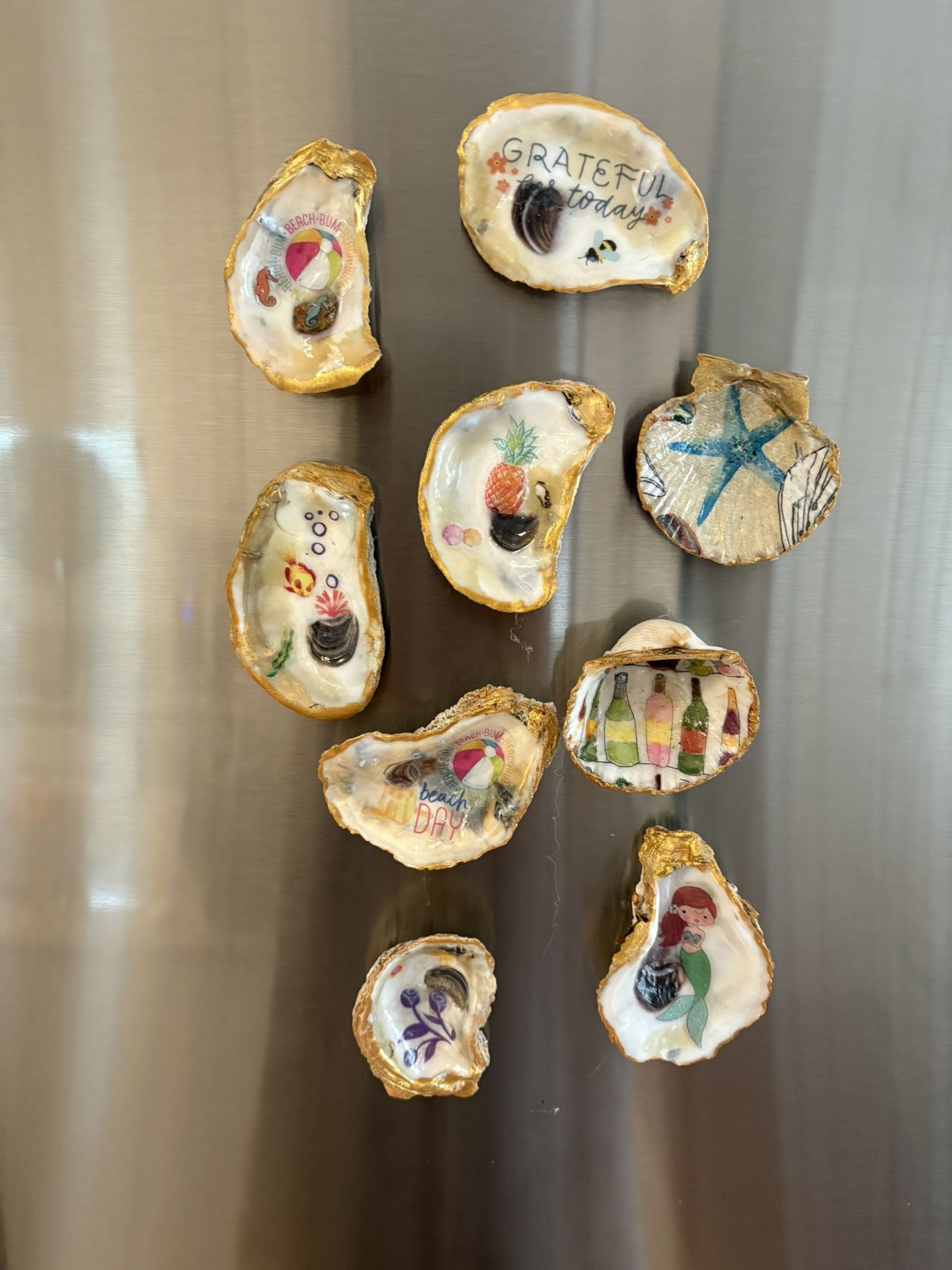 Sea Shell Magnets