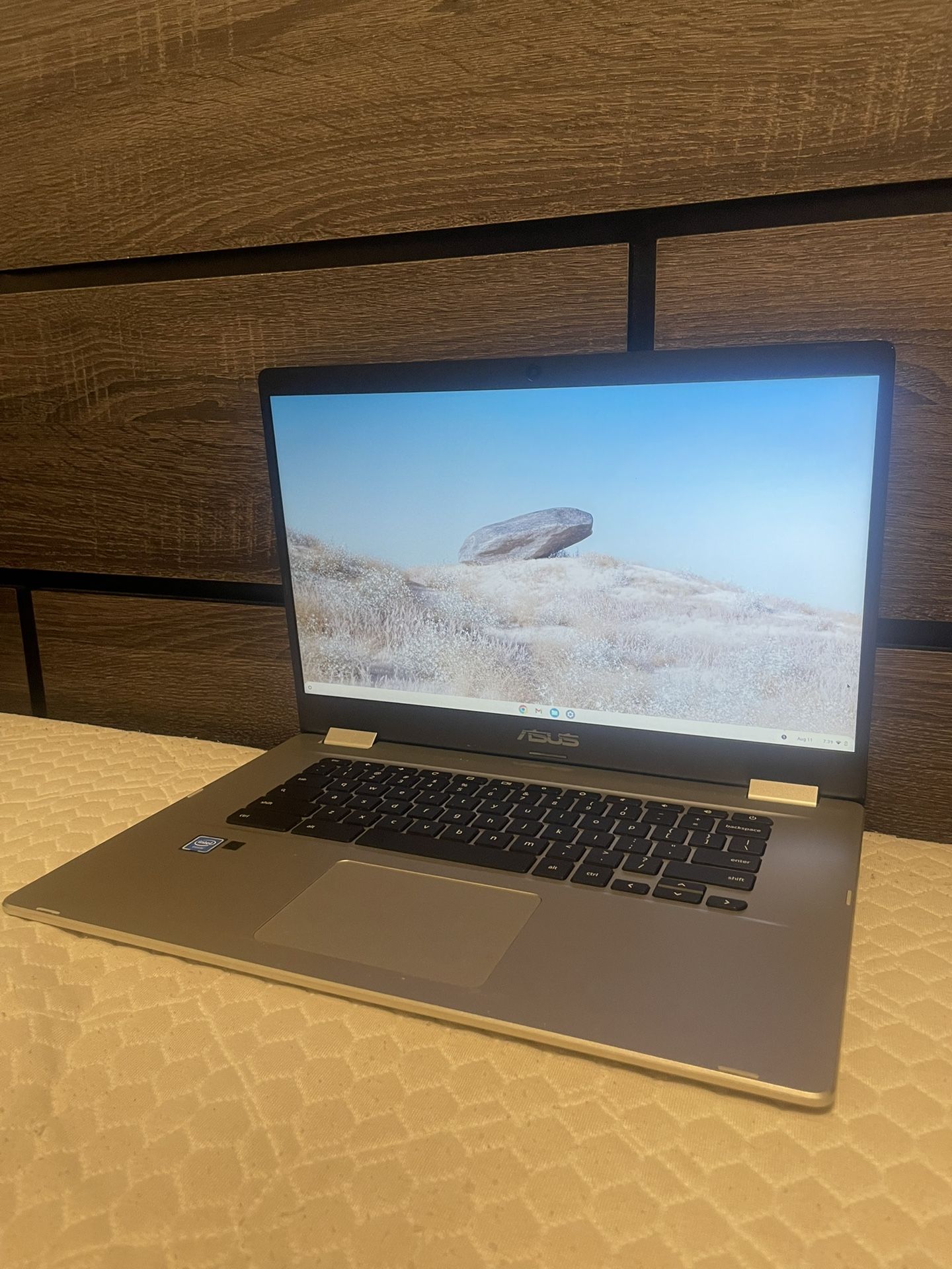 Asus Chrome Laptop