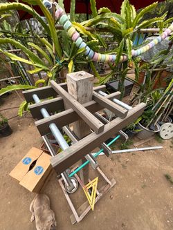 Composite dragon fruit trellis top