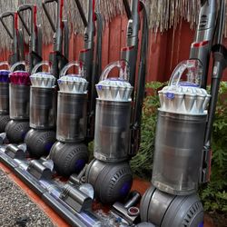 Dyson Ball Animal Pro Vacuum