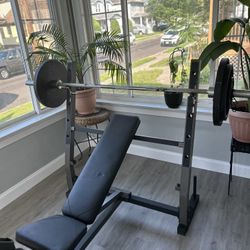 Olympic Weight Bench & Weighs 