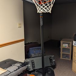 Lifetime adjustable youth baseketball hoop