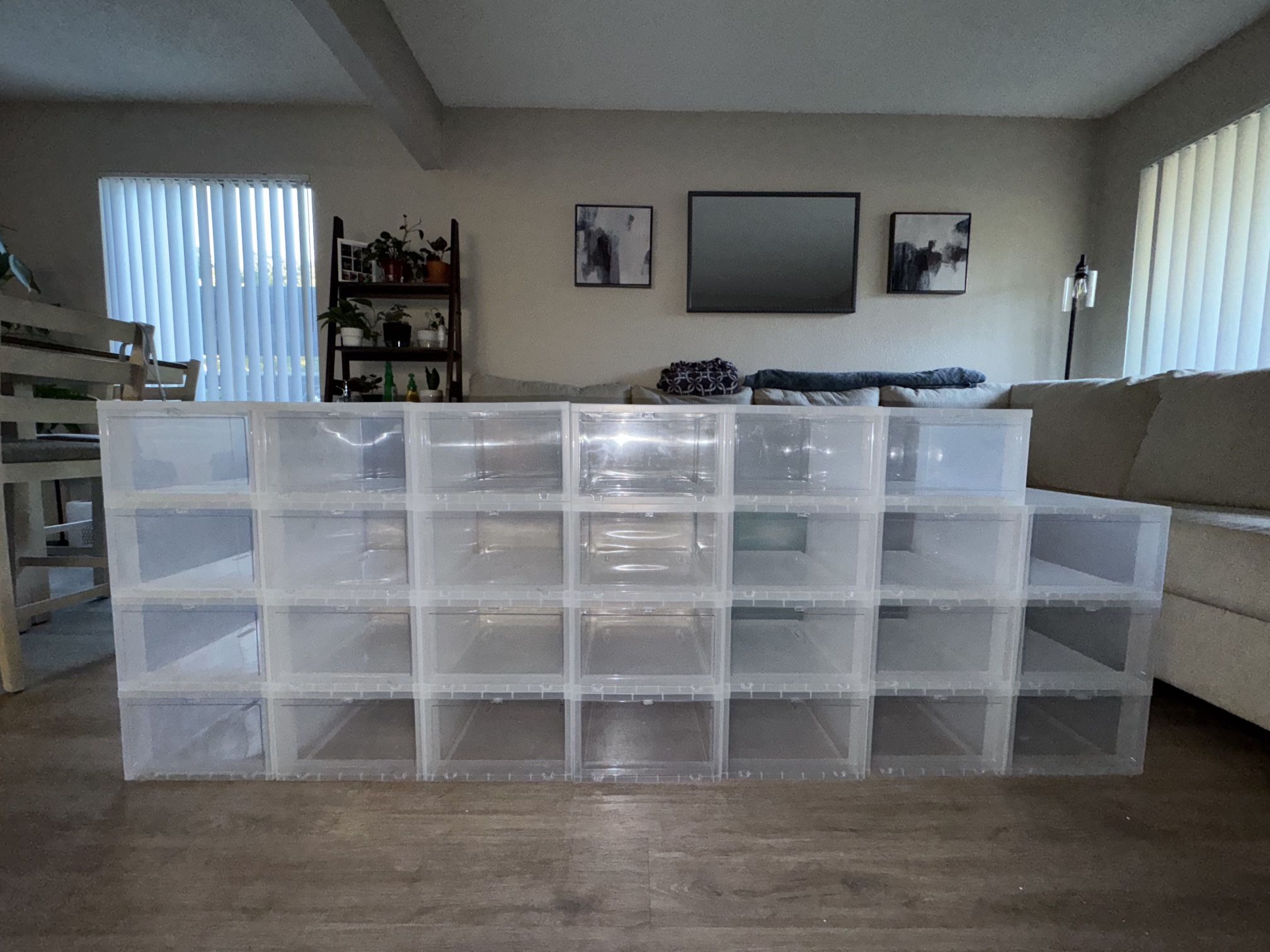 Container Store - Clear Shoe boxes W/ Cover