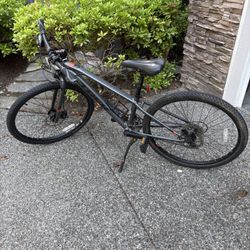 Trek Dual Sport Youth Bike