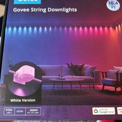 Govee String down lights 16ft
