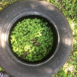 Quality Honda Brand New Tir 