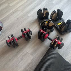 Adjustable Weights