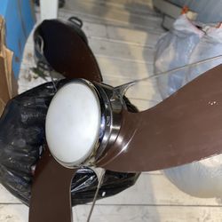 Ceiling Fan 