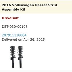 Volkswagen Passat Strut Assembly Kit