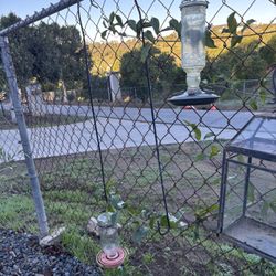 2 HUMMINGBIRD FEEDERS