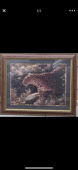 Leopard picture