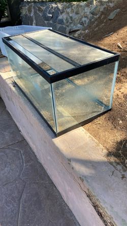 Free Aquarium