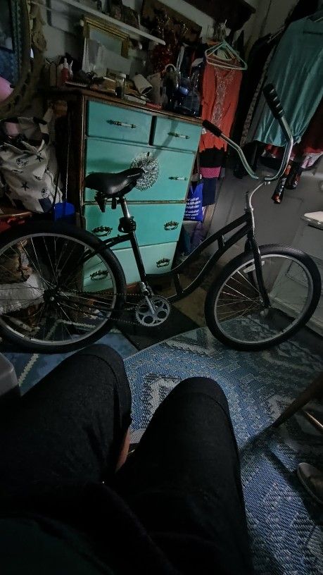 Vintage Schwin Cruiser