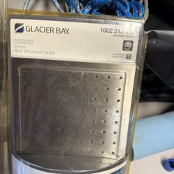 Glacier Bay Shower Head 
