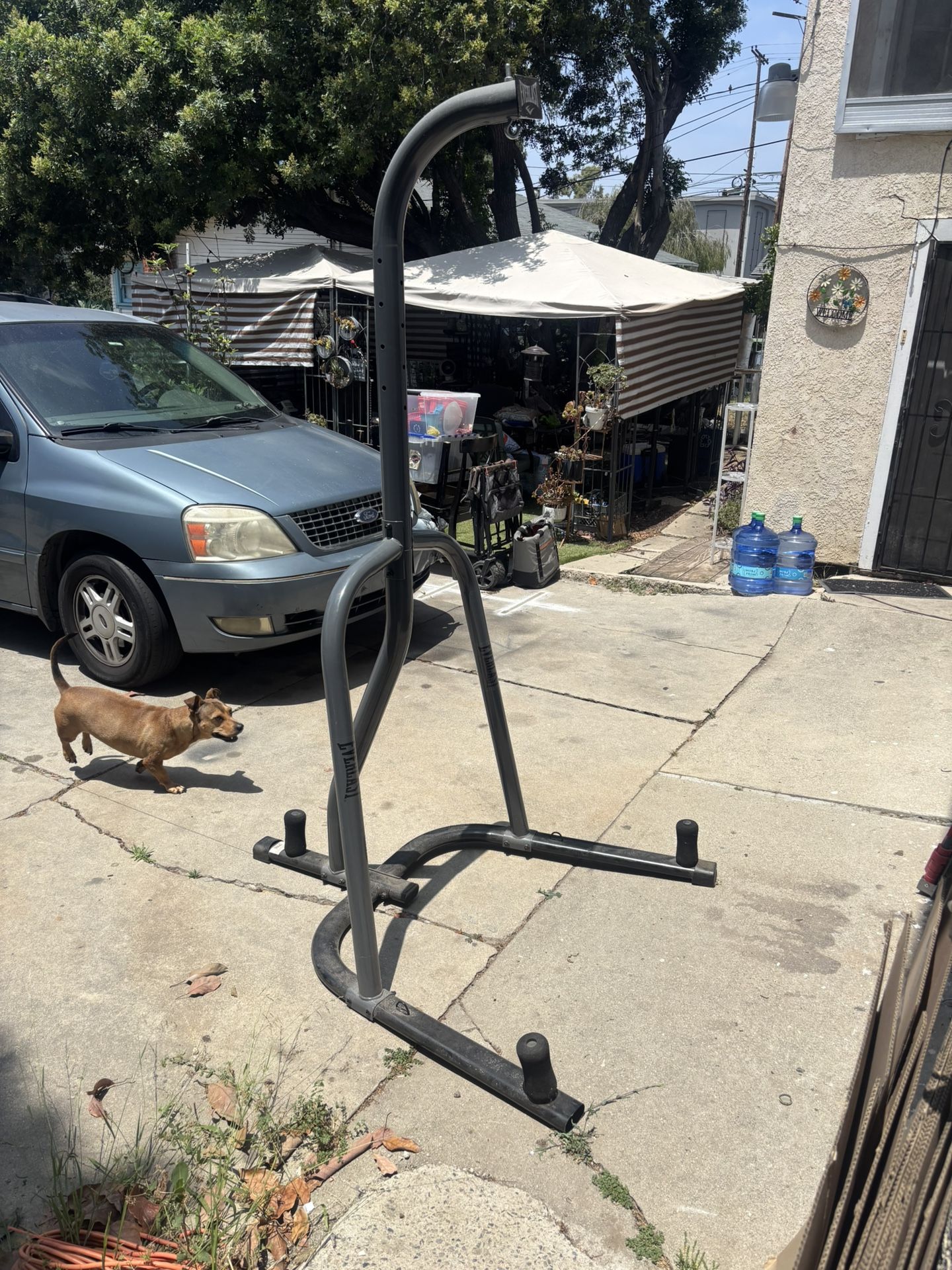 EverLast Punching Bag , And  EverlastPunching Bag Stand 