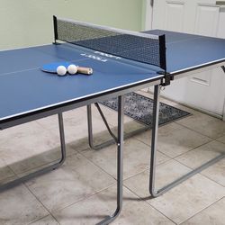 Ping Pong Table