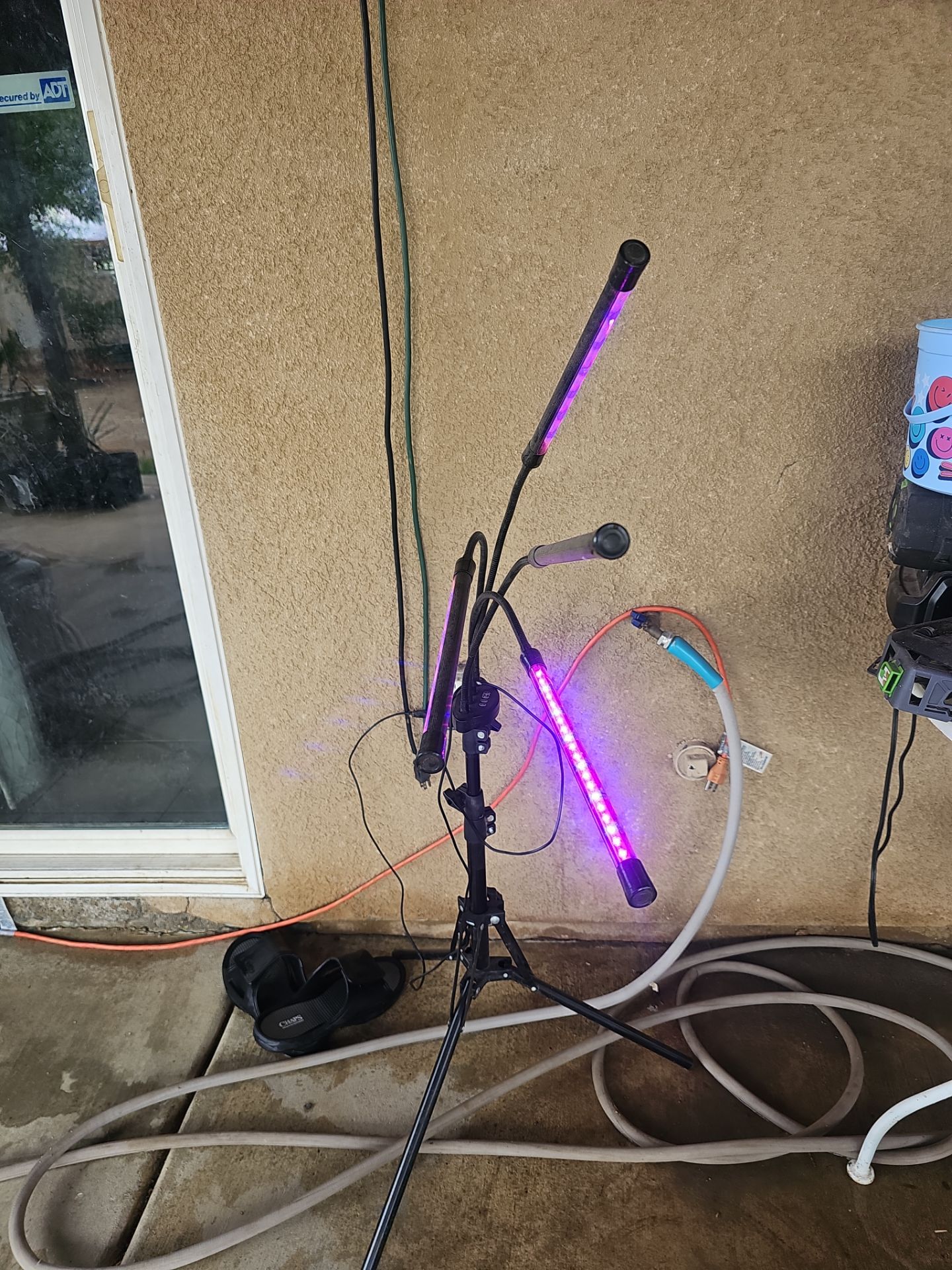Light for indoor plants